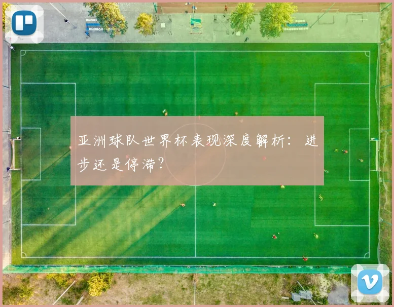 亚洲球队世界杯表现深度解析:进步还是停滞?