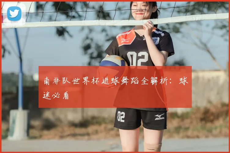 南非队世界杯进球舞蹈全解析:球迷必看