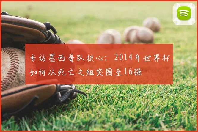 专访墨西哥队核心：2014年世界杯如何从死亡之组突围至16强